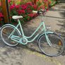 Ladies Bike Image 2