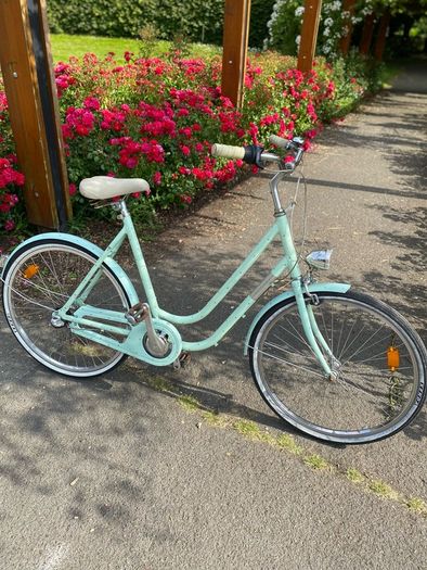 Ladies Bike