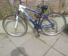 apollo integer hybrid sport