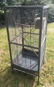 Bird Cage