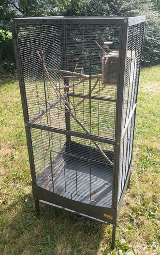 Bird Cage
