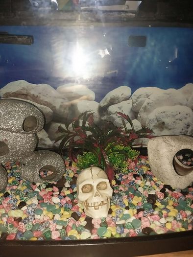 40 liter full glass aquarium with 2 filters and lots of extras