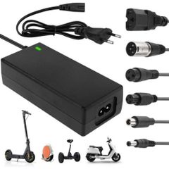 Electric Scooter Charger