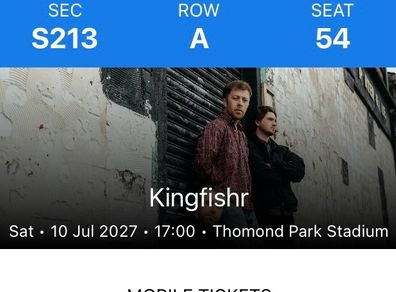 2 X seated tickets for Kingfishr at Thomond Park