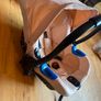 My babiie travel system Image 5