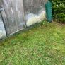 Poultry fencing-Electric Image 4