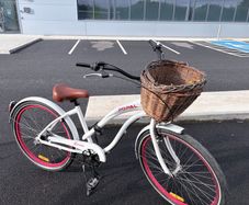 Popal dutch female city Bike