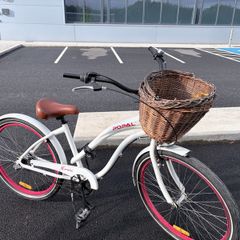Popal dutch female city Bike