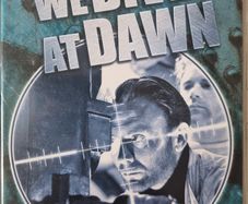 We Dive At Dawn