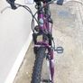 apollo jewel ladies mountain  bike.size 14 Image 3
