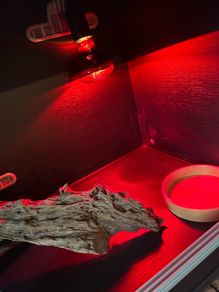3 foot reptile tank black