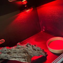3 foot reptile tank black