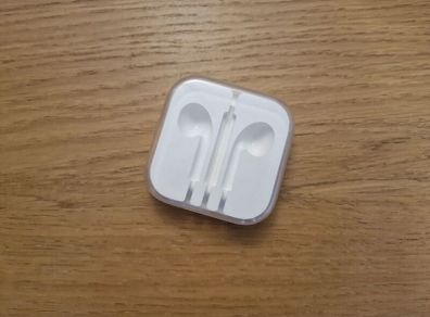 Apple earphones case
