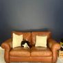Brown leather couch Image 4