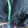 Jade Jumper Image 6