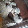 Antique Gilt Plaster Knights Head Image 3