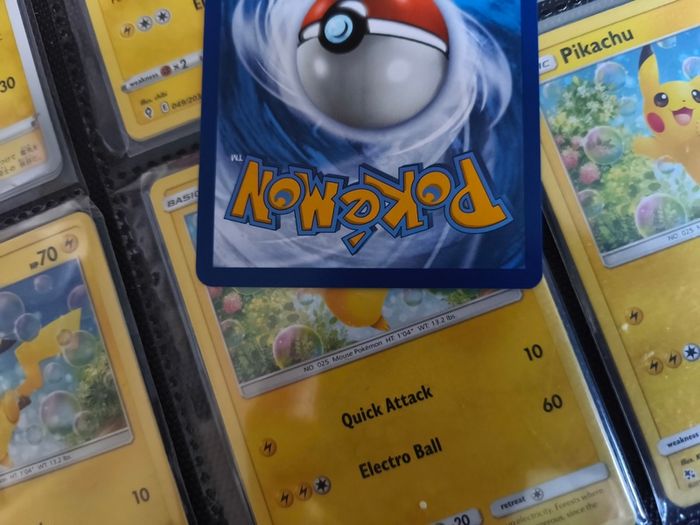 Dachsbun ! Shiny Rare ! from Paldean Fates Set ! 2024 ! Pokemon Card !