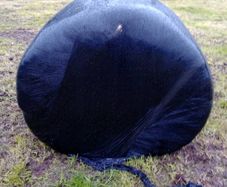 Silage Bales