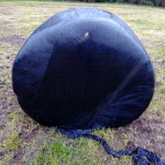 Silage Bales