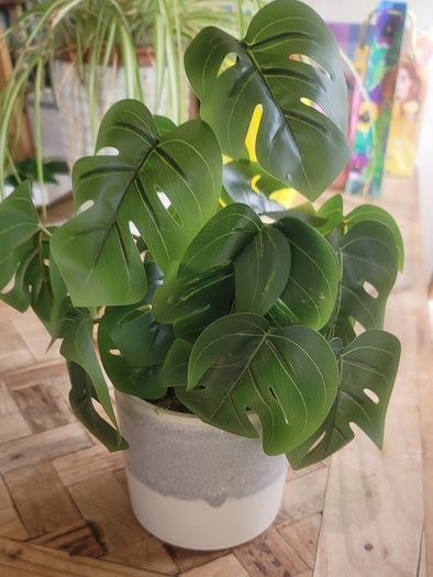 Artificial Monstera Plants in Ceramic Pots x 2