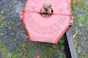 "Beet pulper " Wexford engineering turnip cutter   Free moving parts  NEEDS: TWO LEGS NEW SET OF BLADES