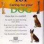 Caring For Your Dog - 101 Essential Tips Image 2