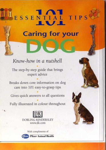 Caring For Your Dog - 101 Essential Tips