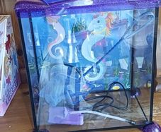 fish tank