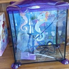 fish tank