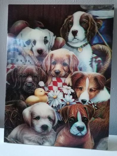 3 D picture of Gorgeous Puppies