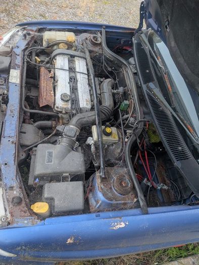 Ford escort