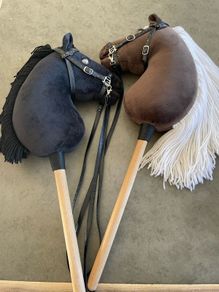 Hobby horses