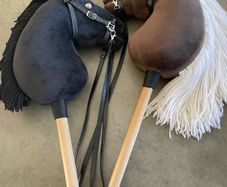 Hobby horses