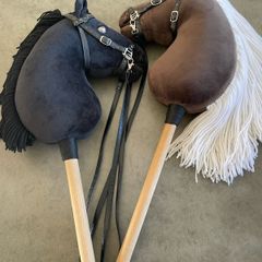 Hobby horses