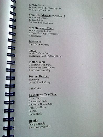 Typescript of a book on Castletown House Ireland Irish history Co. Kildare