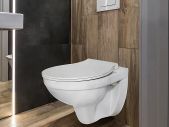 Toilet Hanging Wall Toilet Rose Star with Soft-Close Lid, Ceramic