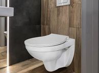 main image for ad Toilet Hanging Wall Toilet Rose Star with Soft-Close Lid, Ceramic