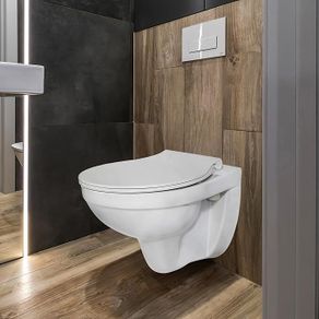 Toilet Hanging Wall Toilet Rose Star with Soft-Close Lid, Ceramic
