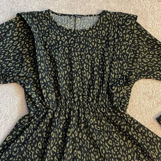 Zara Animal Print Mini Dress