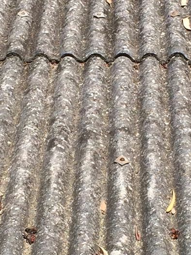 Asbestos Removal & Disposal Services