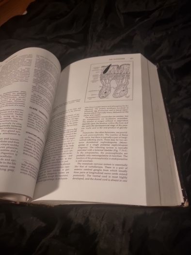 Invertibrate Zoology . 4th edition(Hardcover Illustrated Boards)