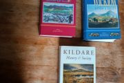 Kildare Galway and Wicklow History &amp; Society