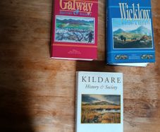 Kildare Galway and Wicklow History & Society