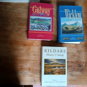Kildare Galway and Wicklow History & Society