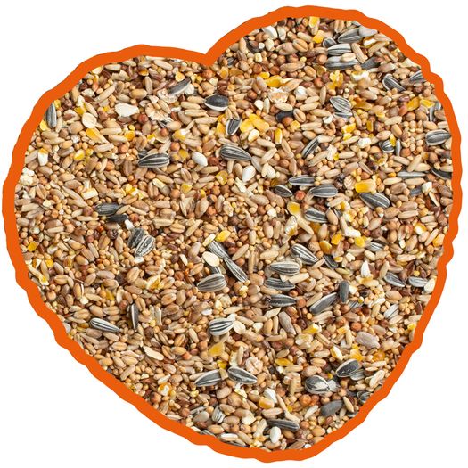 Wild Bird Seed 20KG