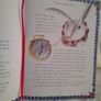 Alice in wonderland Image 4