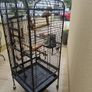 parrot cage for sale Image 5