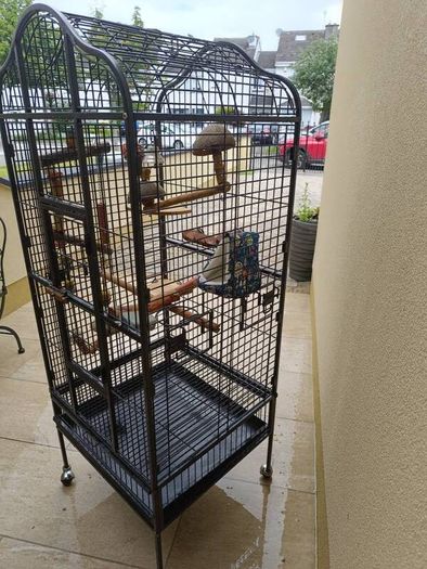 parrot cage for sale