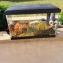 Fish Tank Image 3