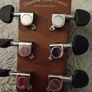 Tanglewood Acoustic Guitar Image 4